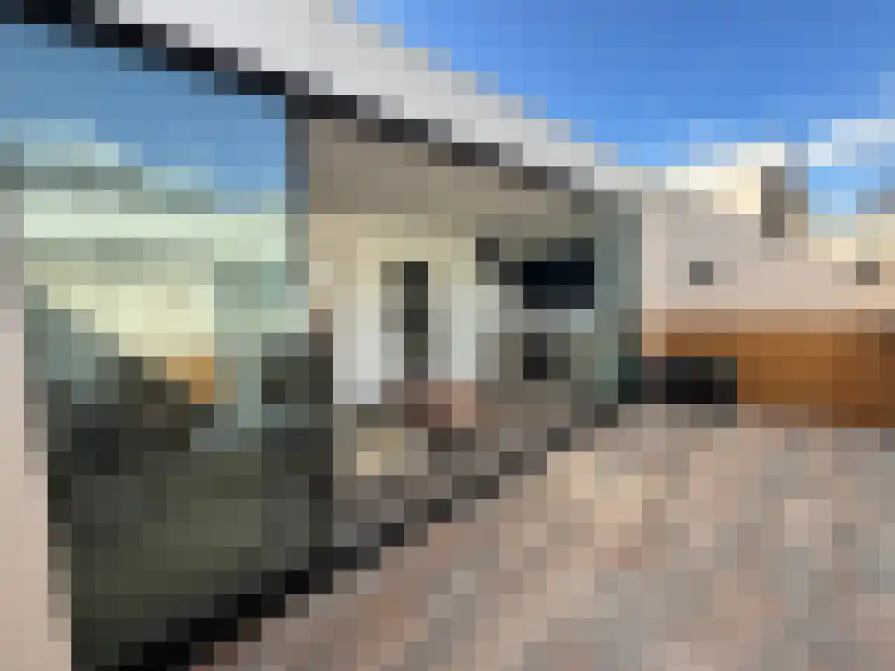 Abraham Bloemaertstraat 29 Helmond thumbnail 19