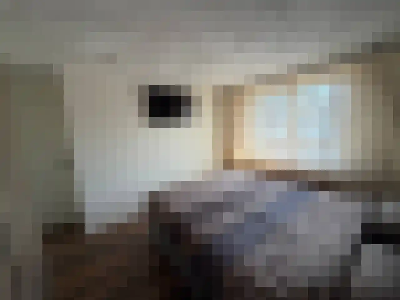 Abraham Bloemaertstraat 29 Helmond thumbnail 31