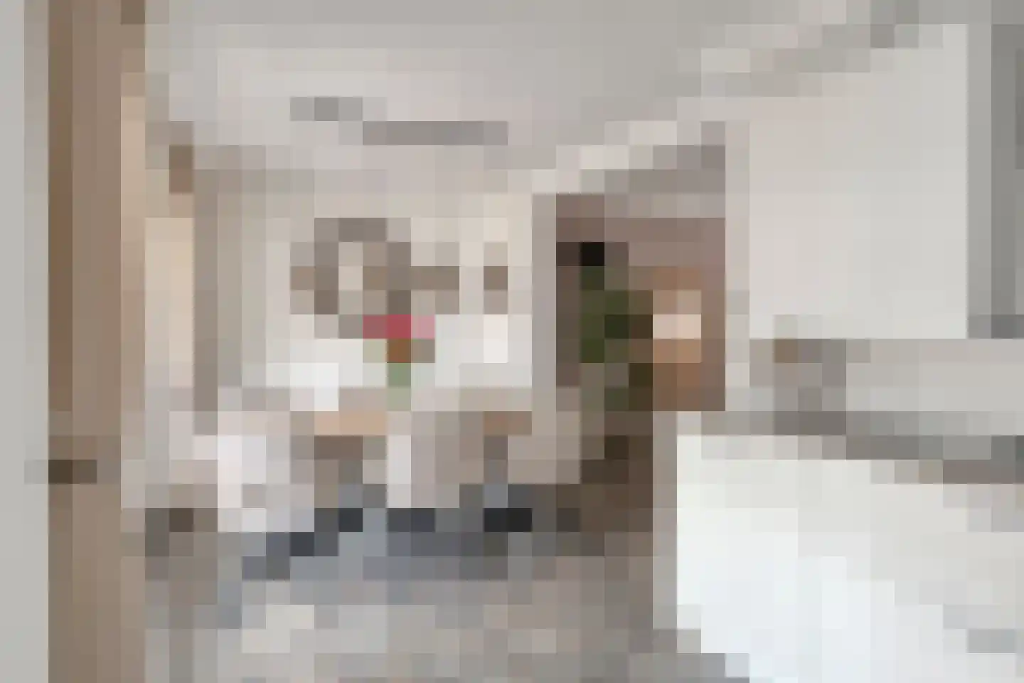 Abraham Bloemaertstraat 29 Helmond thumbnail 4