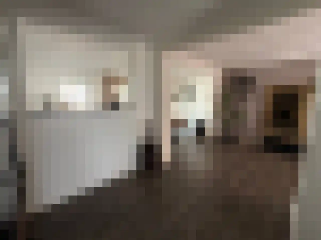Abraham Bloemaertstraat 29 Helmond thumbnail 6