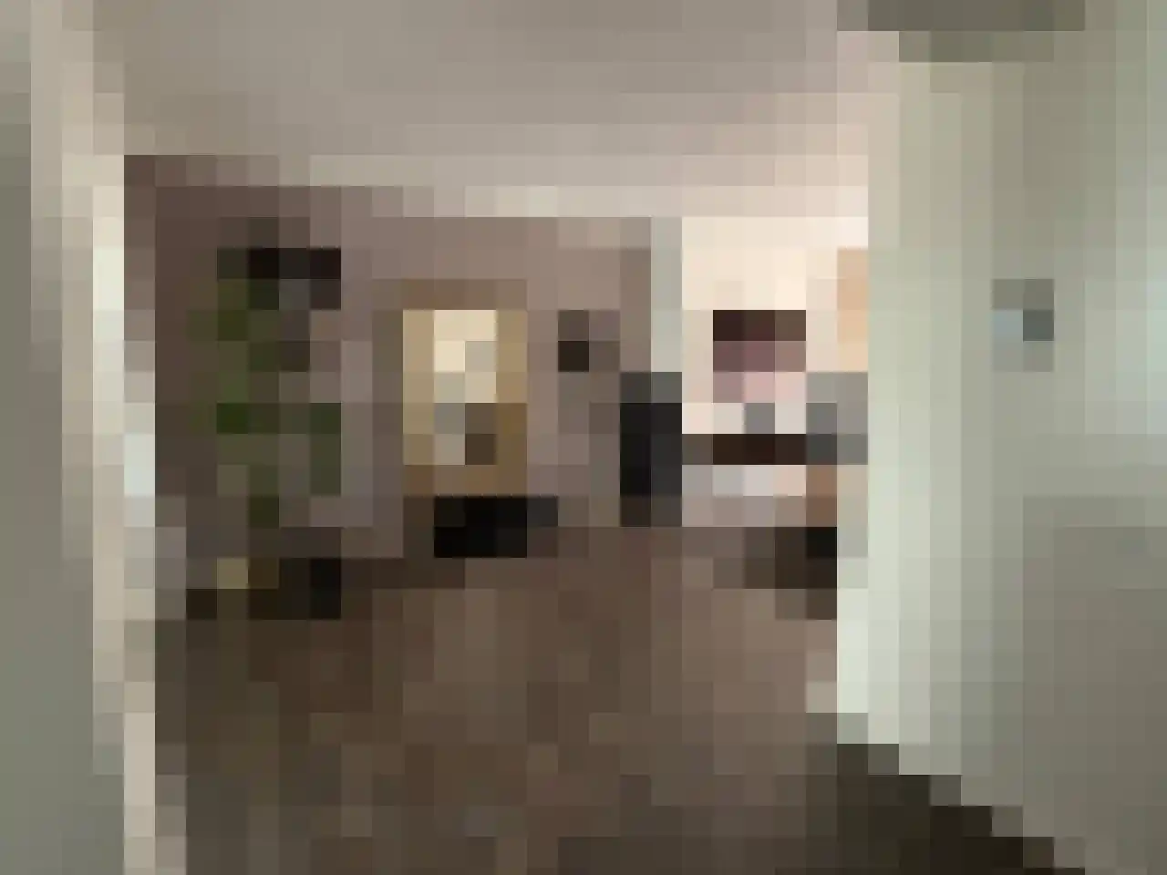 Abraham Bloemaertstraat 29 Helmond thumbnail 7