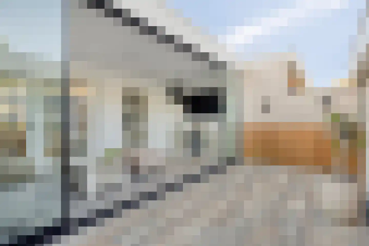 Abraham Bloemaertstraat 29 Helmond thumbnail 7