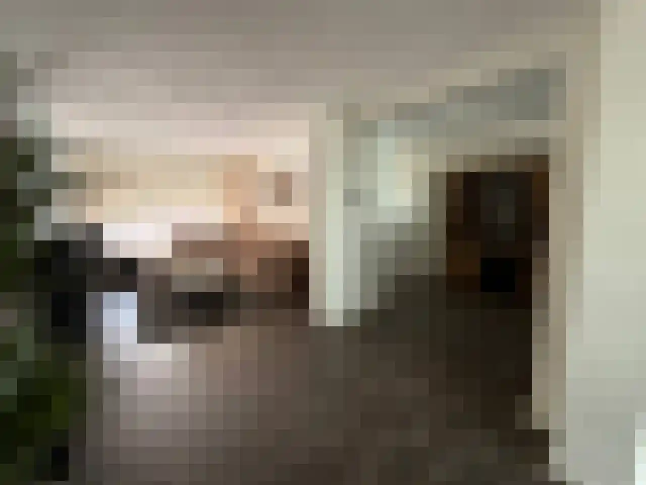 Abraham Bloemaertstraat 29 Helmond thumbnail 8