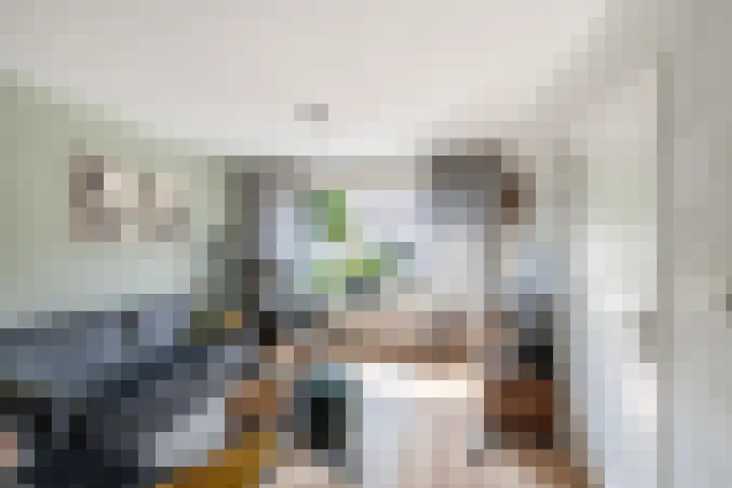Abraham Crijnssenstraat 8 Tholen thumbnail 11