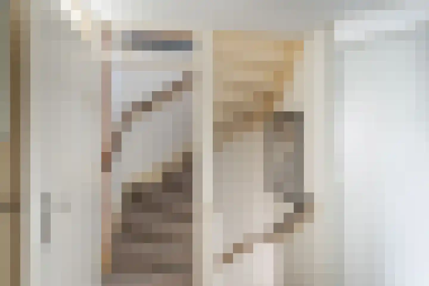 Abraham Crijnssenstraat 8 Tholen thumbnail 17