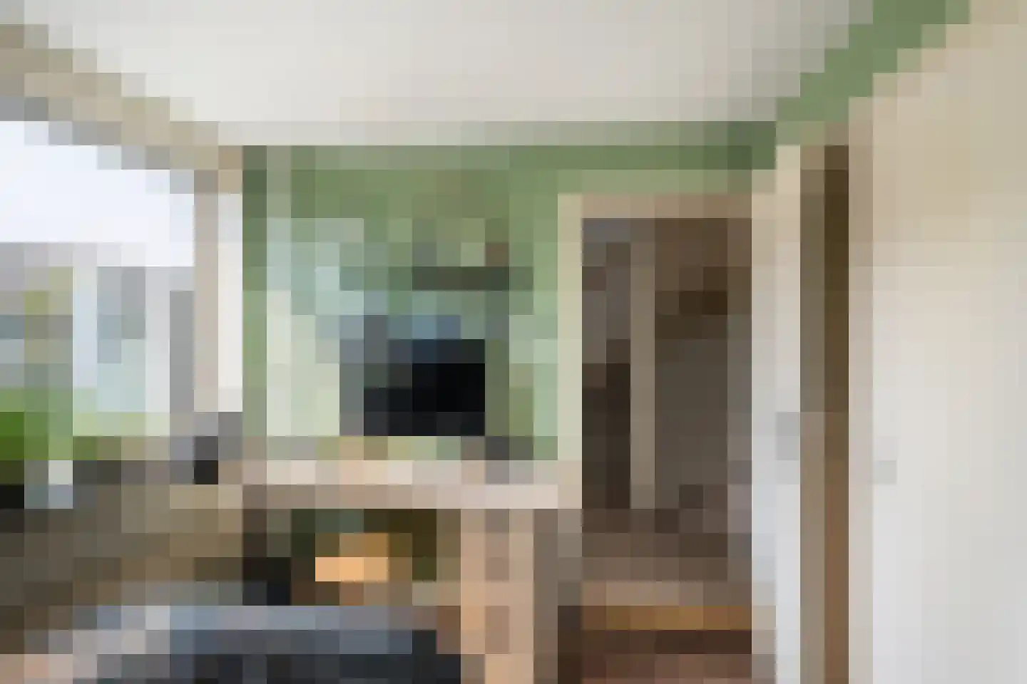 Abraham Crijnssenstraat 8 Tholen thumbnail 23