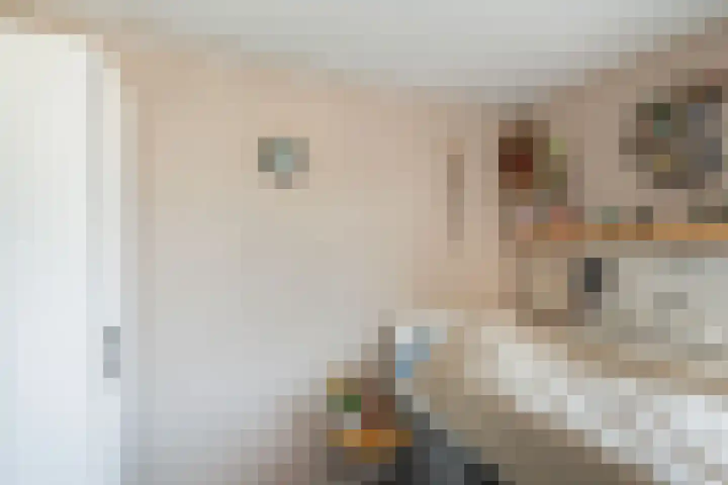 Abraham Crijnssenstraat 8 Tholen thumbnail 25