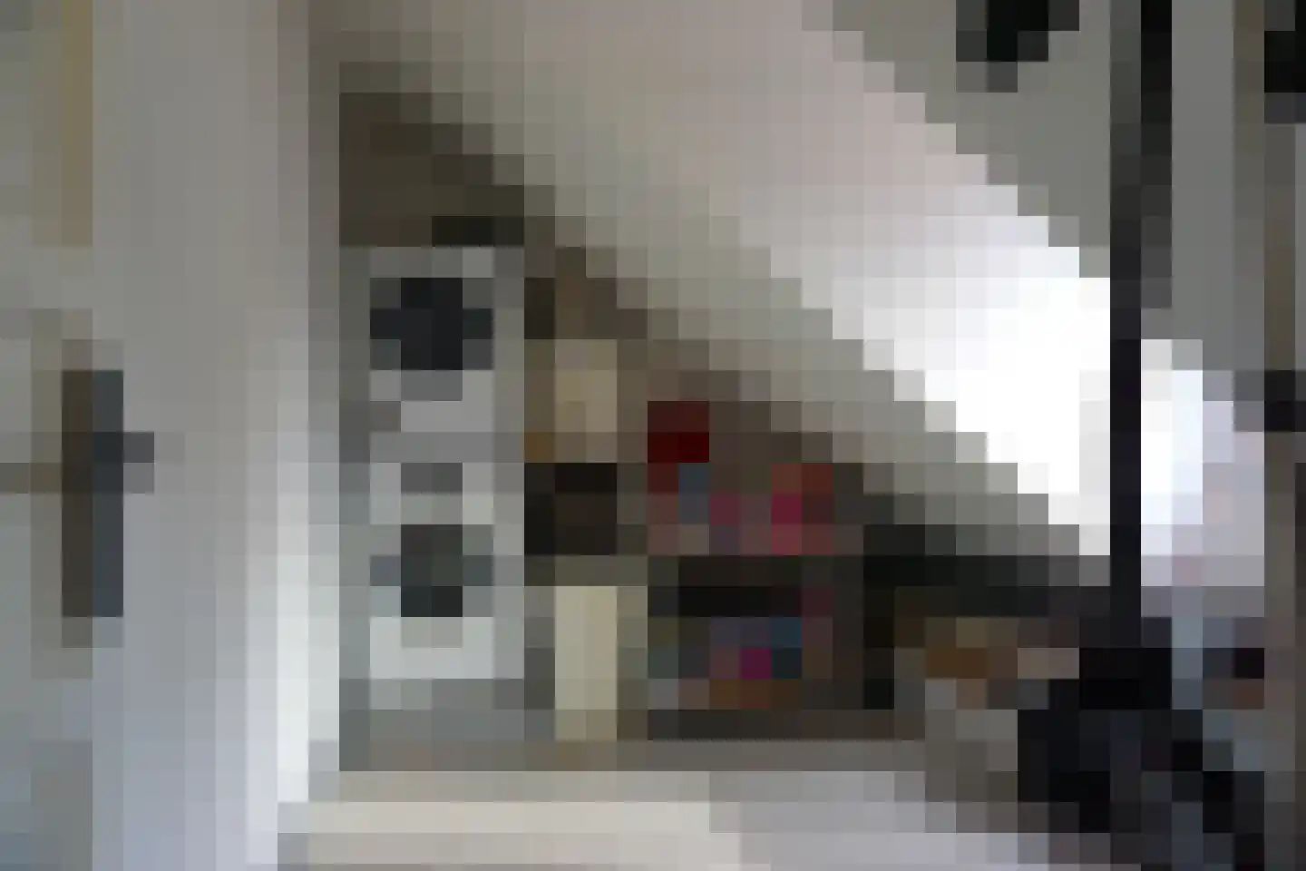 Abraham de Haanstraat 18 Bergen op Zoom thumbnail 24