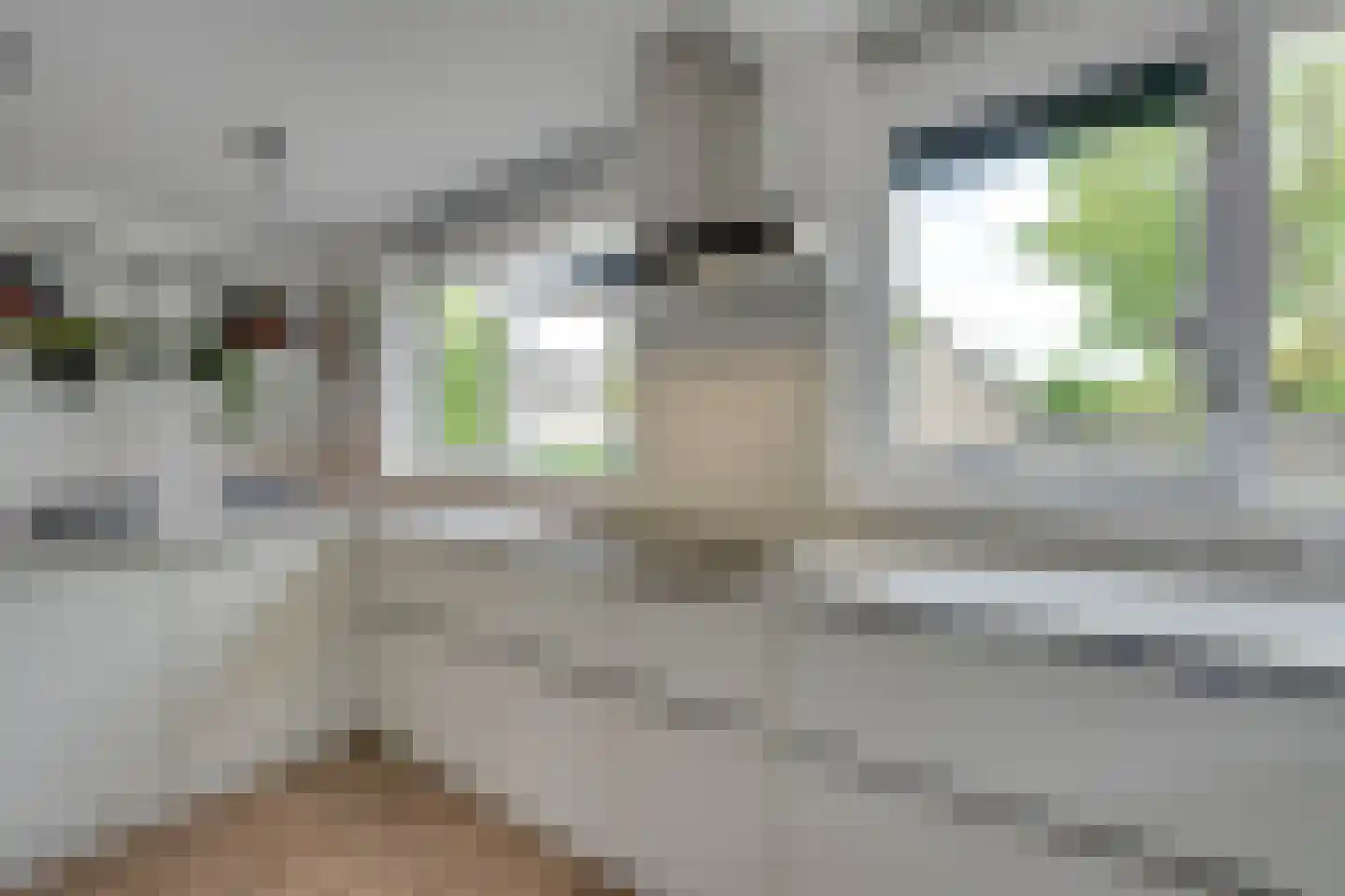 Abraham de Haanstraat 8 Amsterdam thumbnail 19
