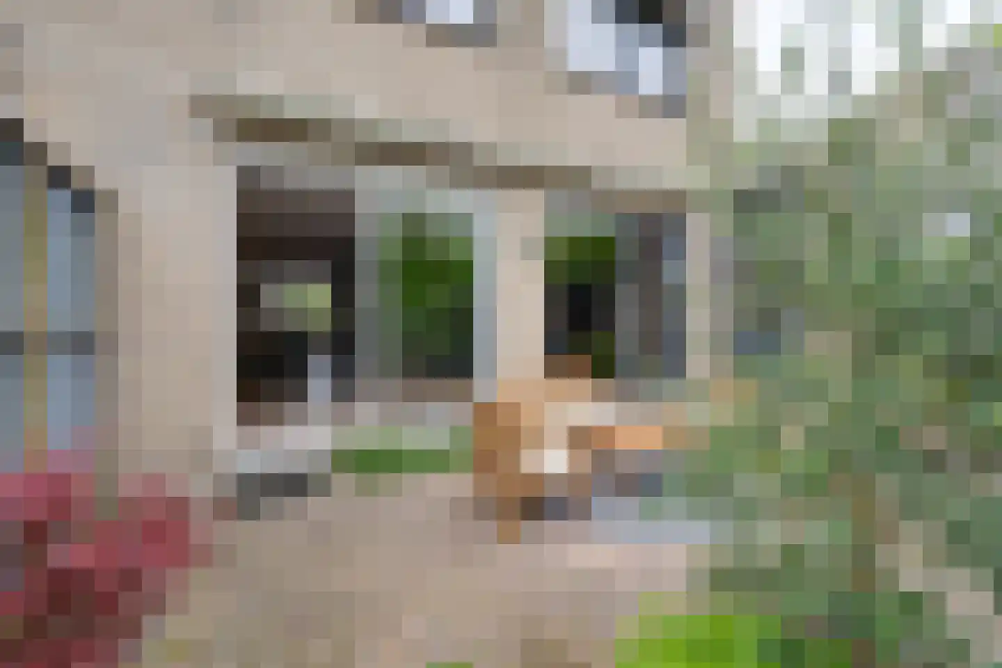Abraham de Haanstraat 8 Amsterdam thumbnail 25