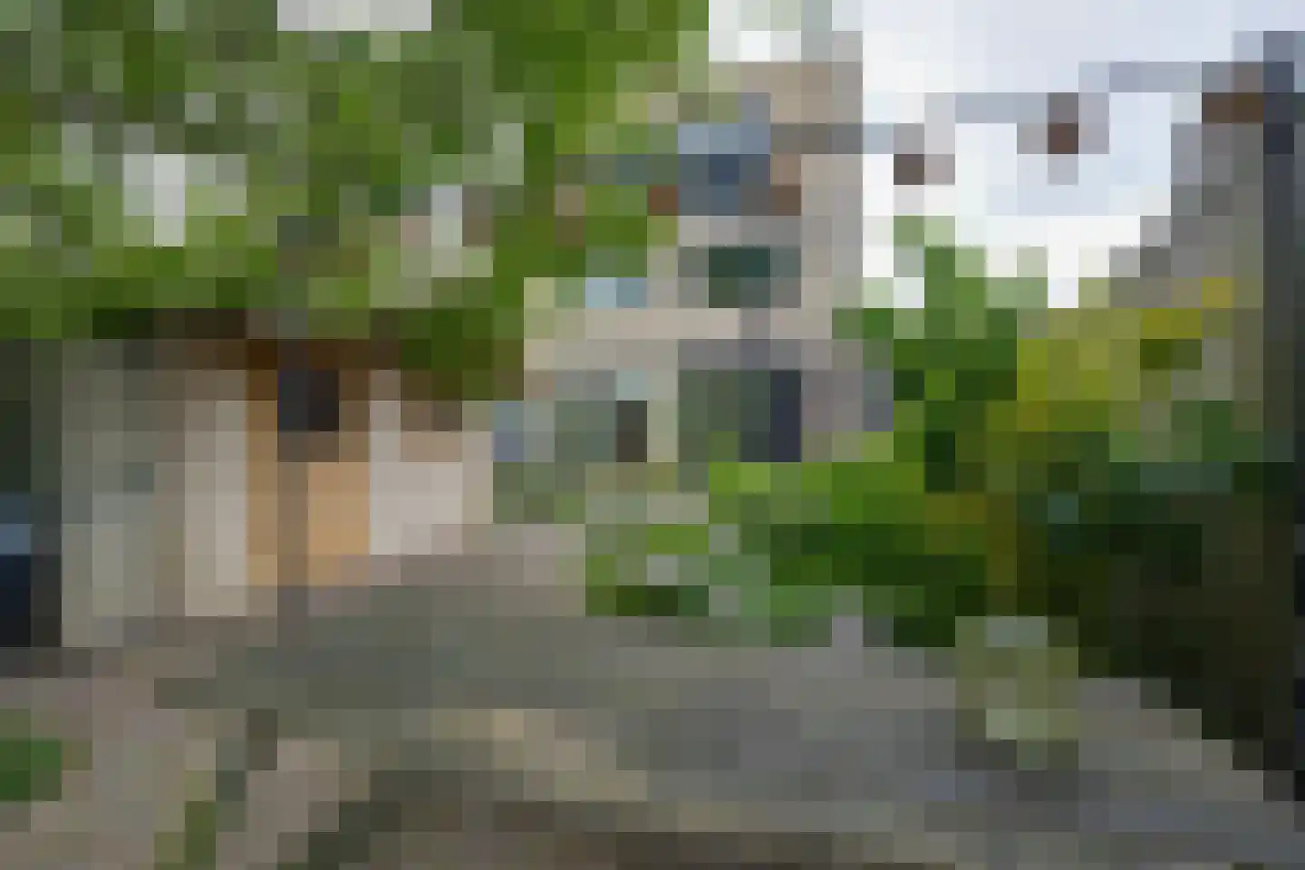 Abraham de Haanstraat 8 Amsterdam thumbnail 29