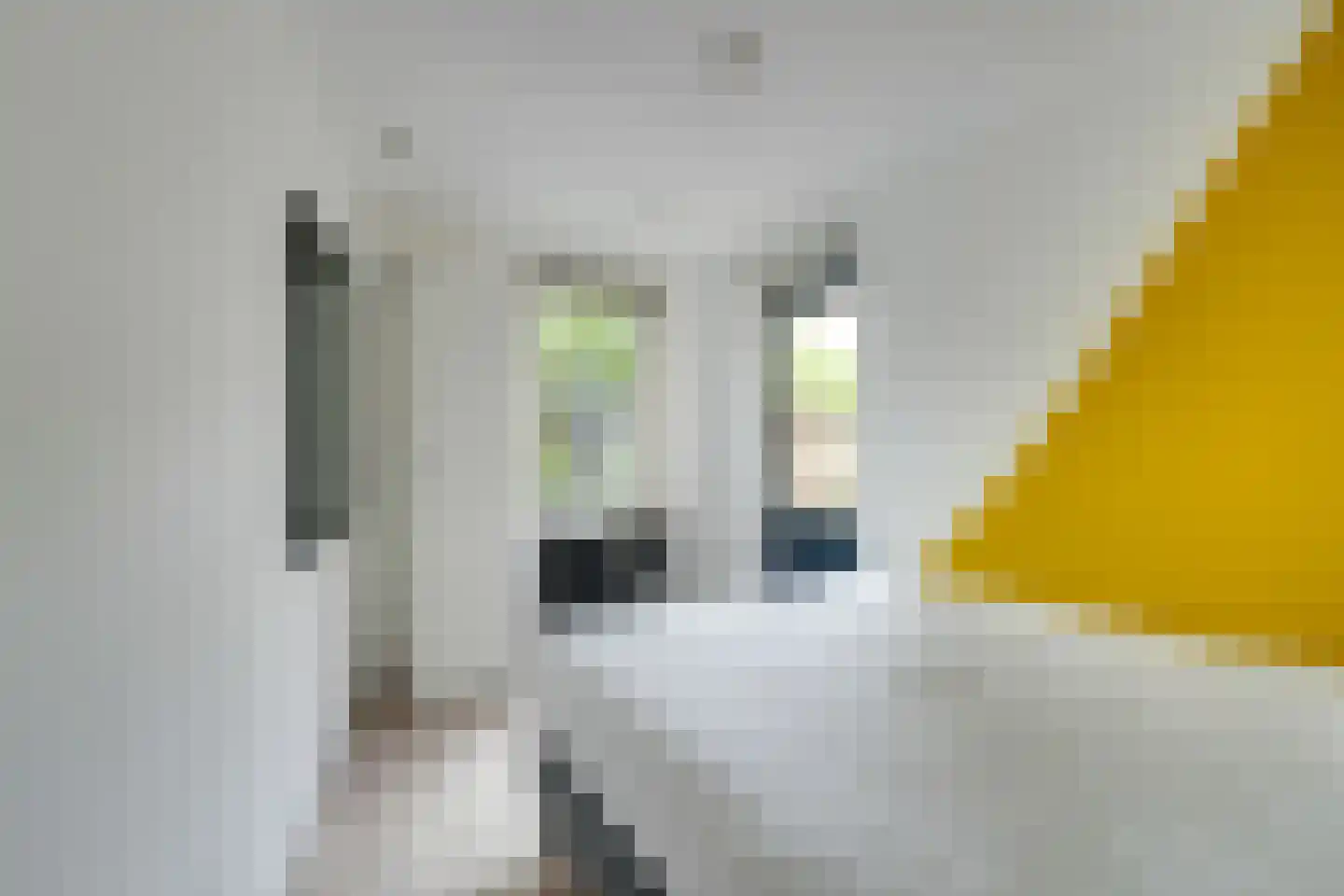 Abraham de Haanstraat 8 Amsterdam thumbnail 39