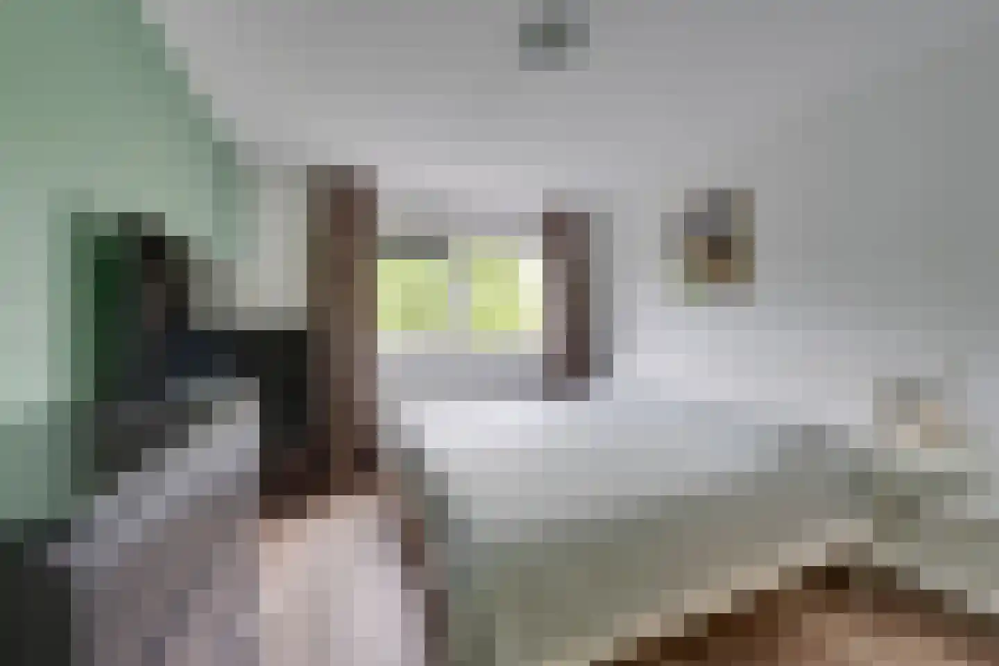 Abraham de Haanstraat 8 Amsterdam thumbnail 45