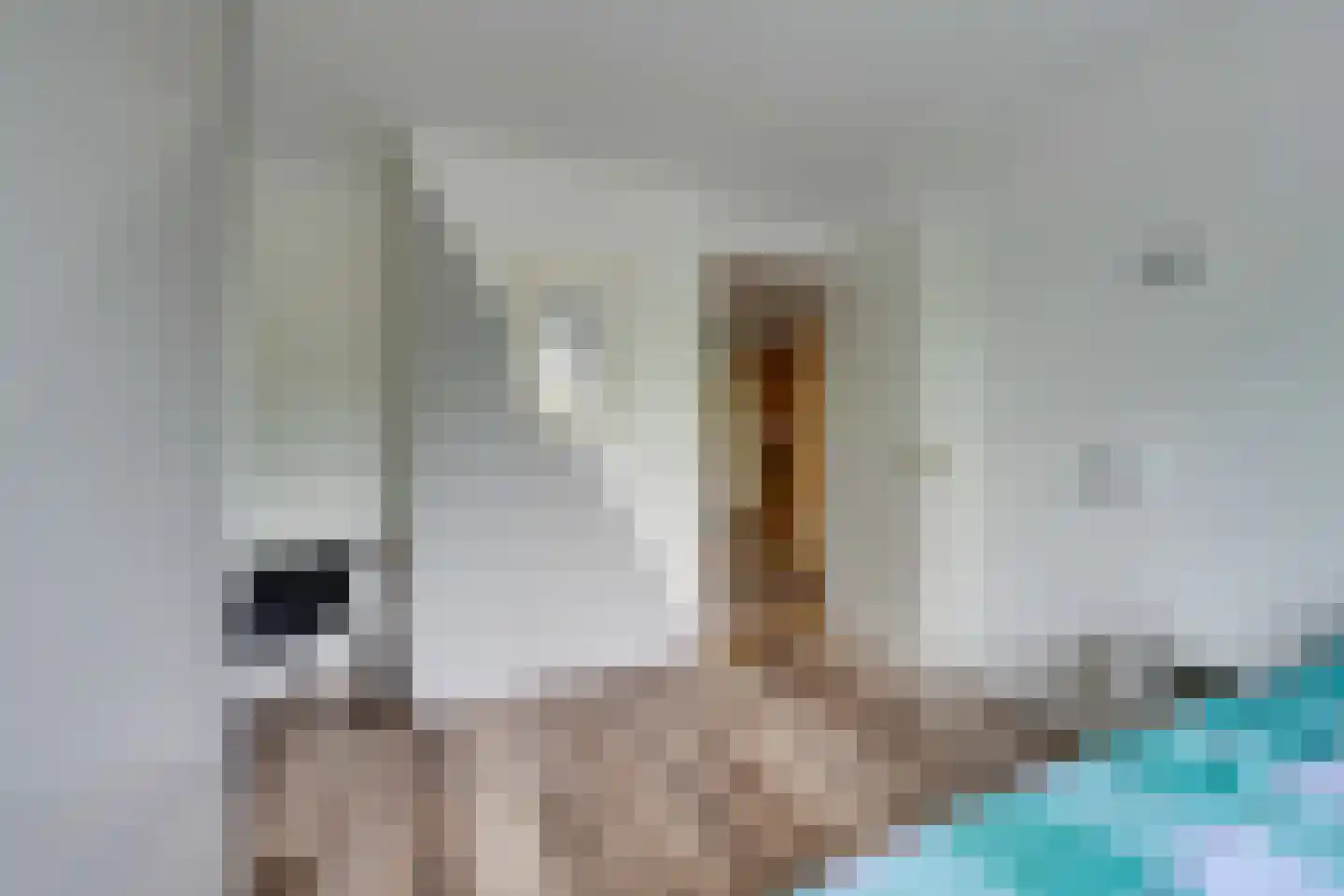Abraham de Haanstraat 8 Amsterdam thumbnail 52