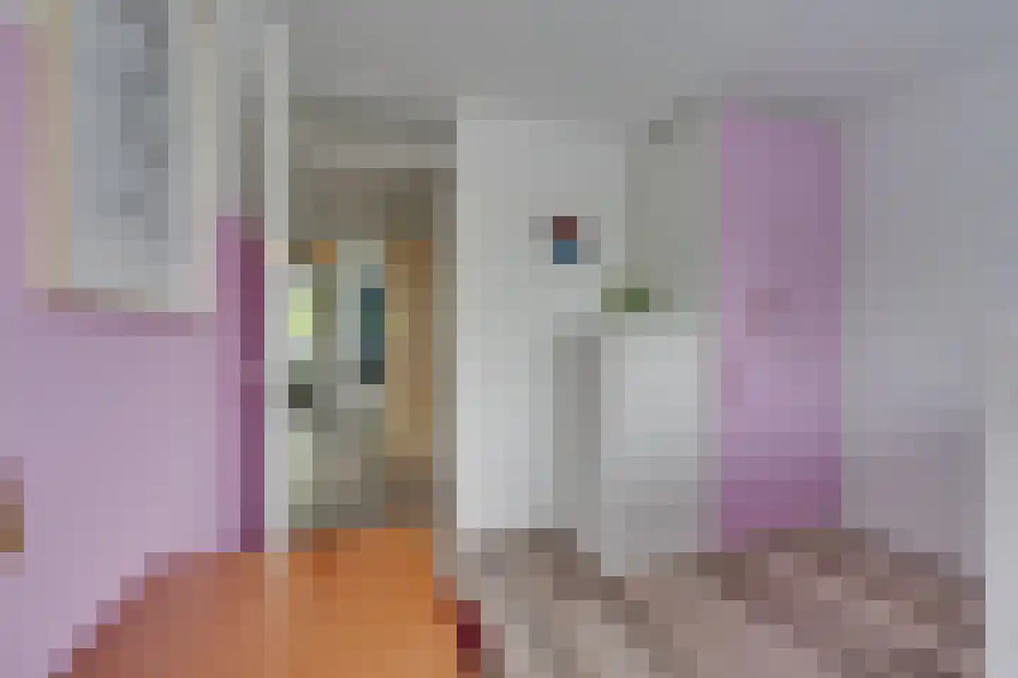 Abraham de Haanstraat 8 Amsterdam thumbnail 54