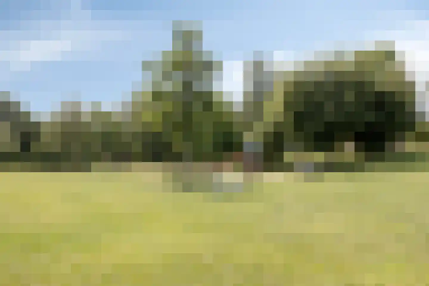Abraham du Bois-hof 236 Heiloo thumbnail 32