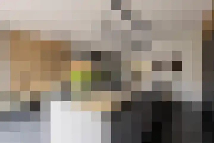 Abraham Heetveldlaan 10 Veenendaal thumbnail 11