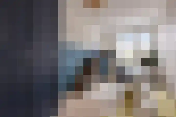Abraham Heetveldlaan 10 Veenendaal thumbnail 19