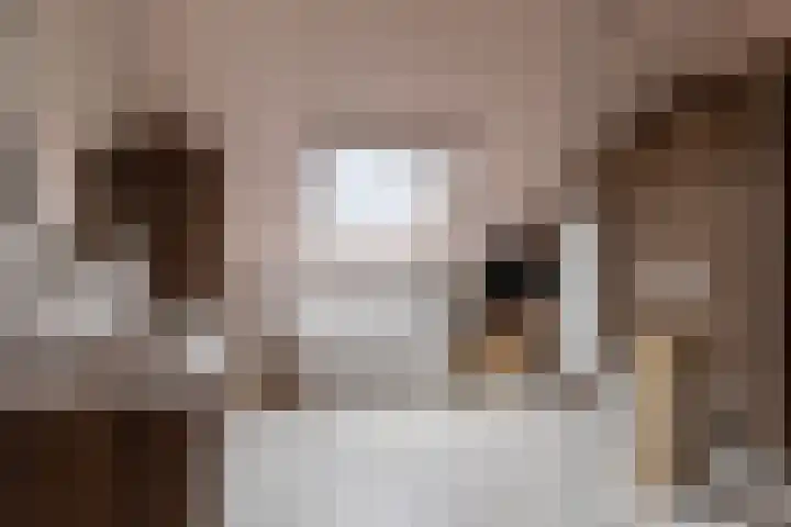 Abraham Heetveldlaan 10 Veenendaal thumbnail 23