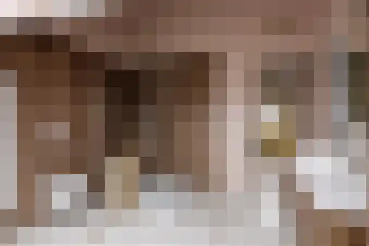 Abraham Heetveldlaan 10 Veenendaal thumbnail 24