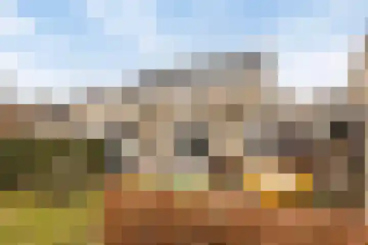 Abraham Heetveldlaan 10 Veenendaal thumbnail 31