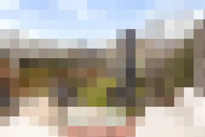Abraham Heetveldlaan 10 Veenendaal thumbnail 32