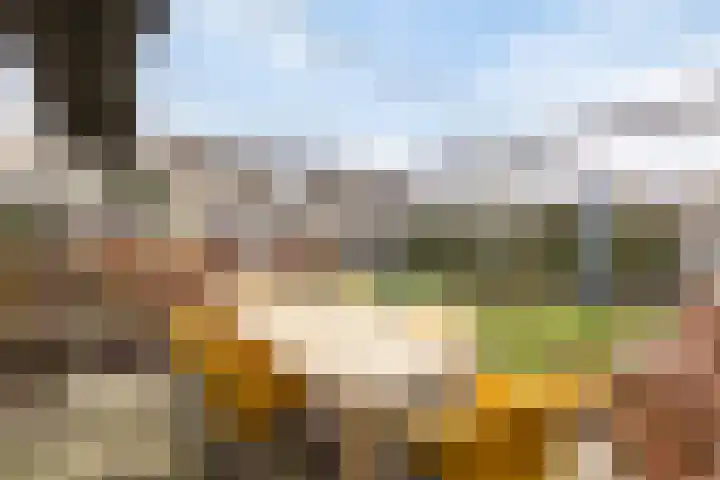 Abraham Heetveldlaan 10 Veenendaal thumbnail 33