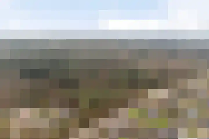 Abraham Heetveldlaan 10 Veenendaal thumbnail 38
