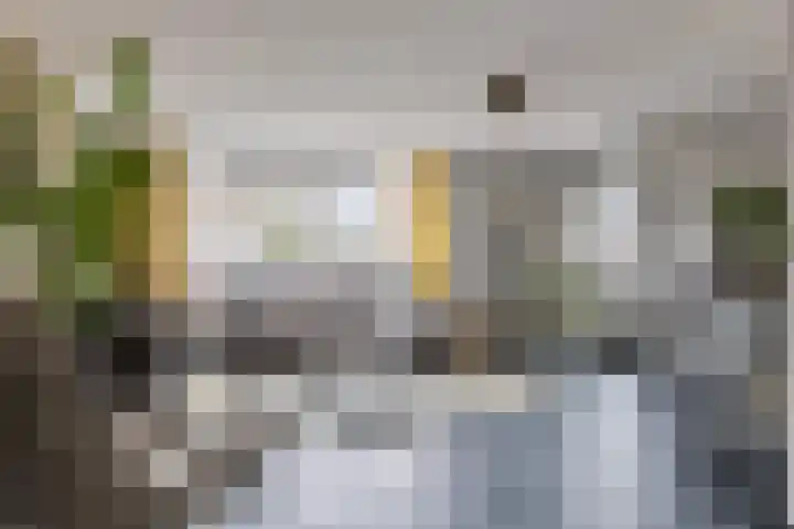 Abraham Heetveldlaan 10 Veenendaal thumbnail 4