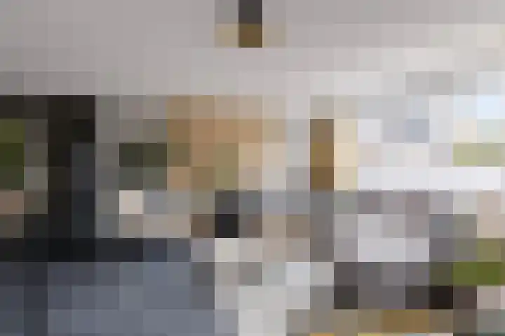 Abraham Heetveldlaan 10 Veenendaal thumbnail 5