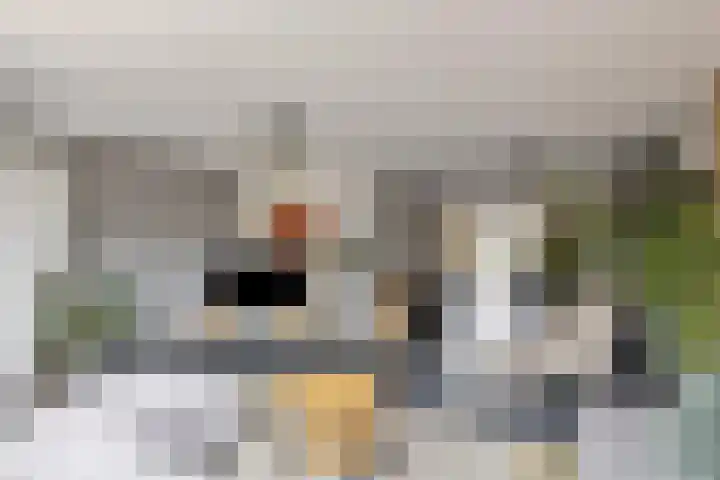 Abraham Heetveldlaan 10 Veenendaal thumbnail 6