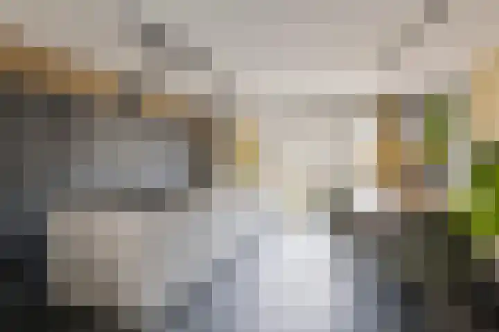 Abraham Heetveldlaan 10 Veenendaal thumbnail 7