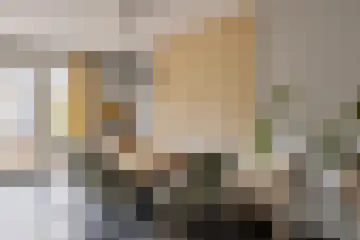Abraham Heetveldlaan 10 Veenendaal thumbnail 8