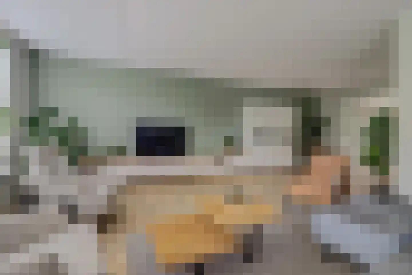 Abraham Heetveldlaan 8 Veenendaal thumbnail 6