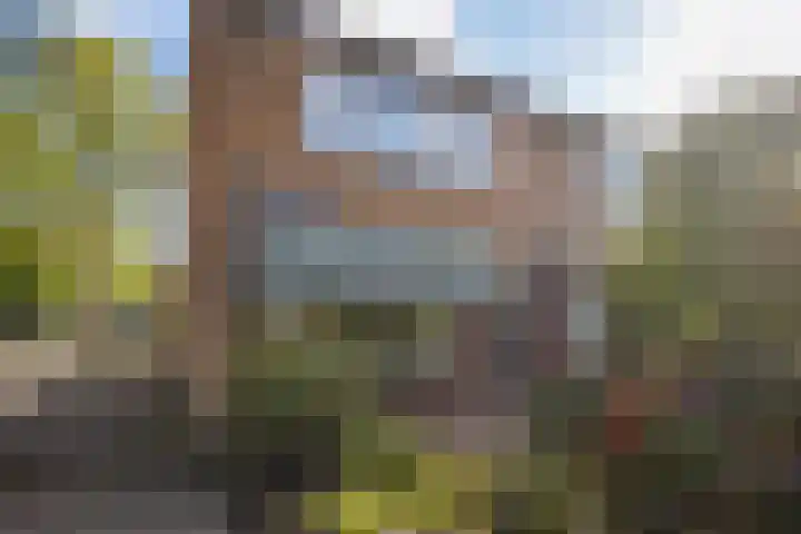 Abraham Hopmanstraat 17 's-Hertogenbosch thumbnail 8