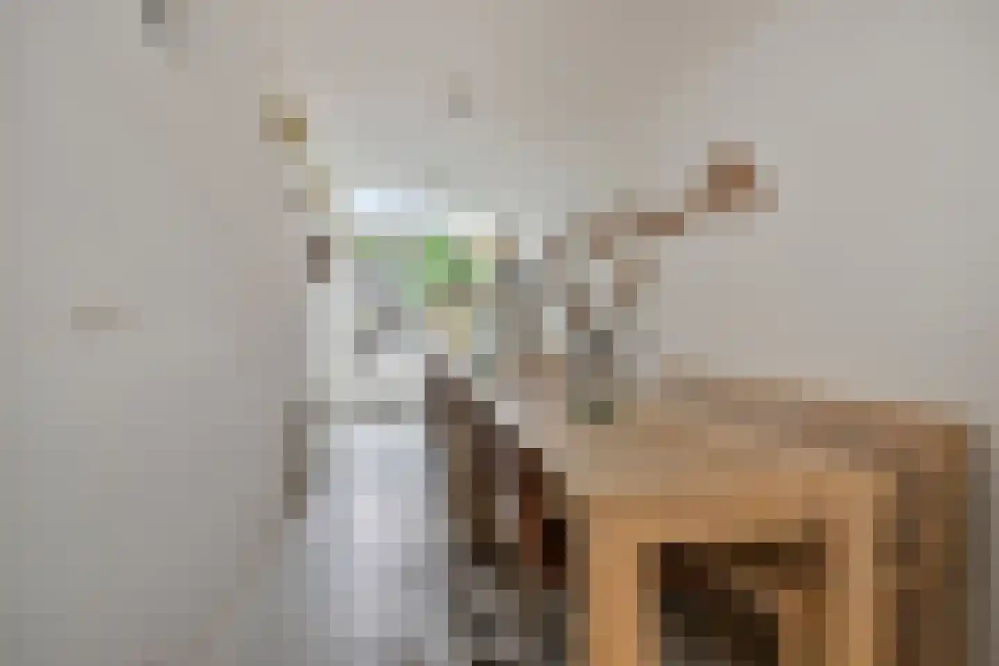 Abraham Kuijperstraat 17 Tilburg thumbnail 12