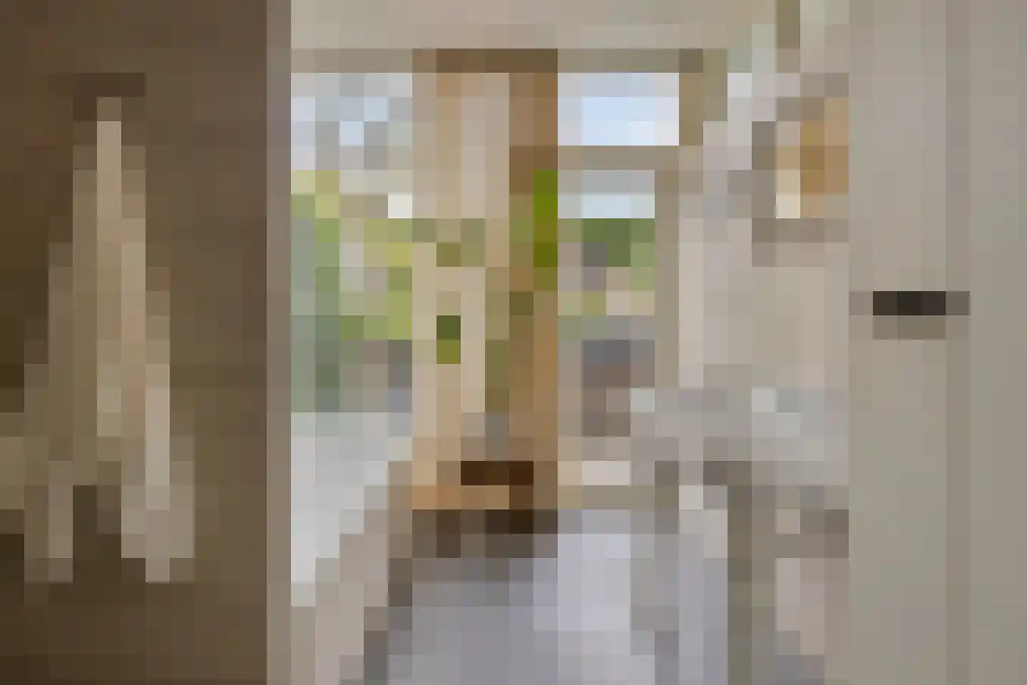 Abraham Kuijperstraat 17 Tilburg thumbnail 15