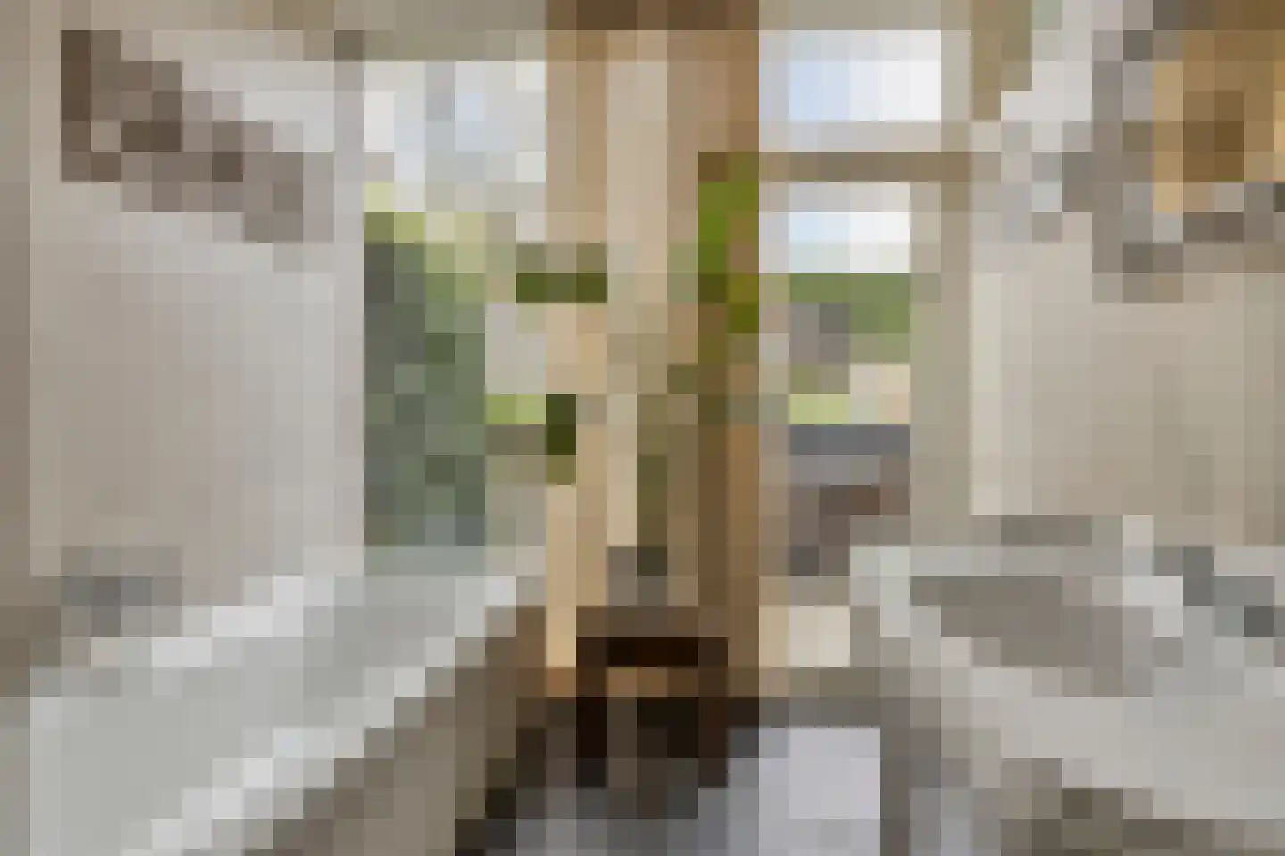 Abraham Kuijperstraat 17 Tilburg thumbnail 16