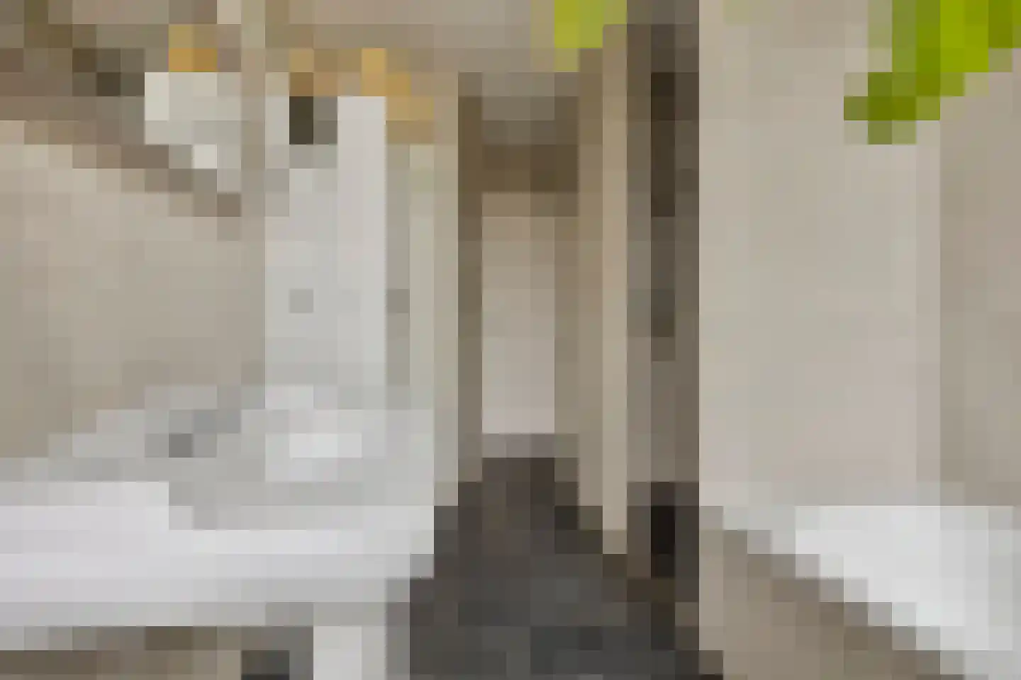 Abraham Kuijperstraat 17 Tilburg thumbnail 17