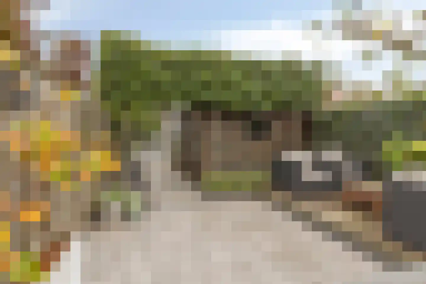 Abraham Kuijperstraat 17 Tilburg thumbnail 33