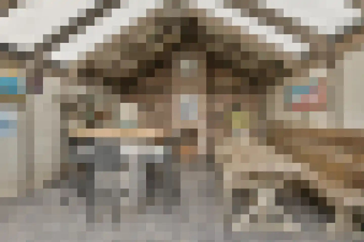 Abraham Kuijperstraat 17 Tilburg thumbnail 36