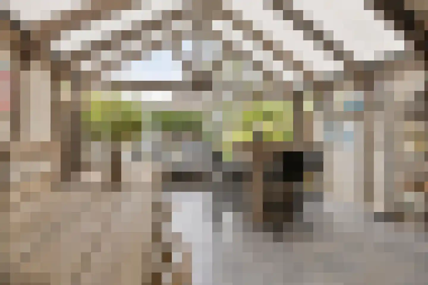 Abraham Kuijperstraat 17 Tilburg thumbnail 37