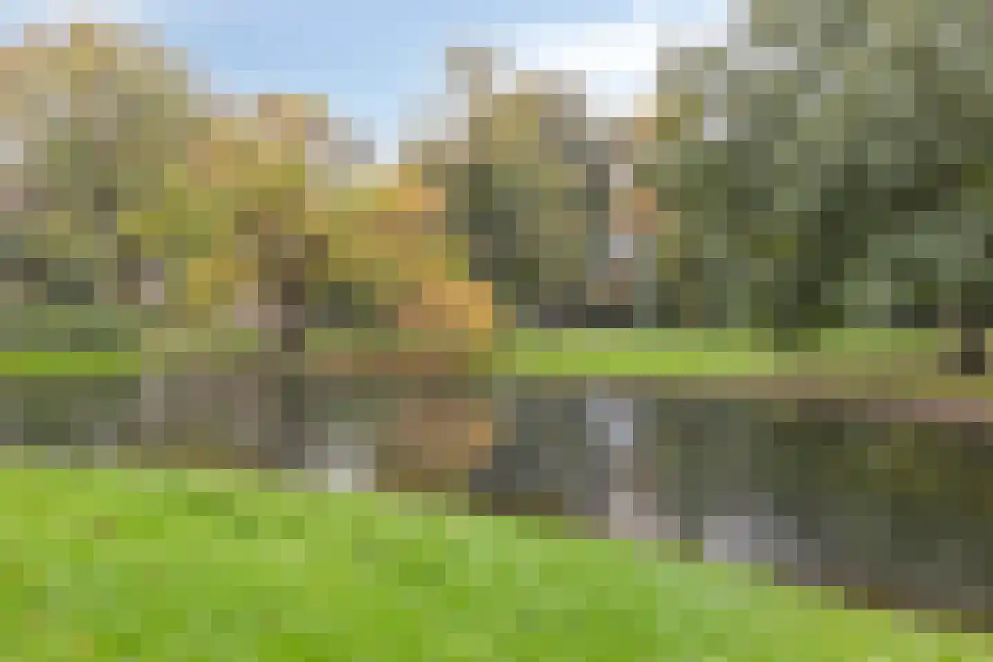 Abraham Kuijperstraat 17 Tilburg thumbnail 43