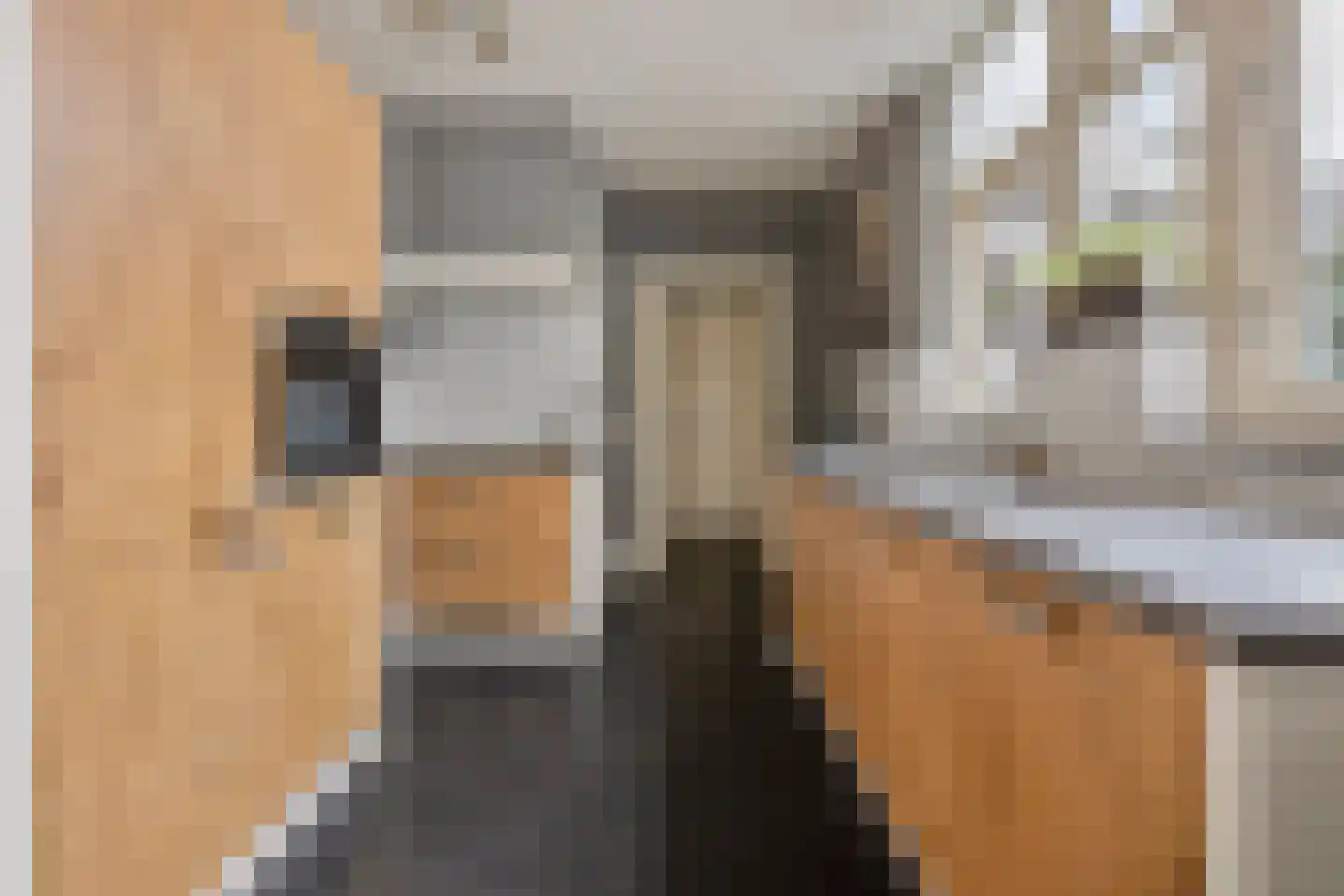 Abraham Kuijperstraat 17 Tilburg thumbnail 5