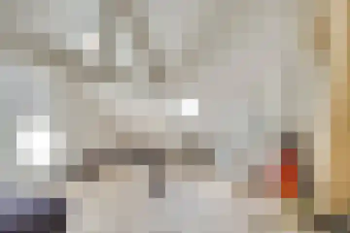 Abraham Kuijperstraat 36 Tilburg thumbnail 20