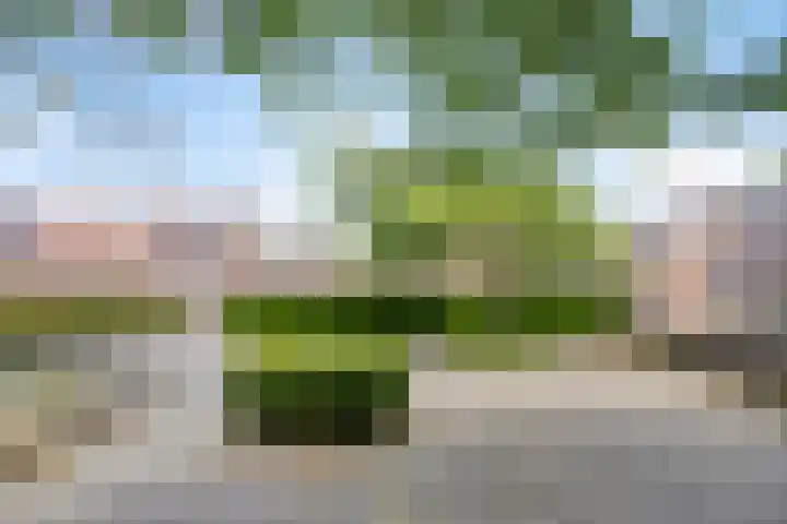 Abraham Kuijperstraat 36 Tilburg thumbnail 26