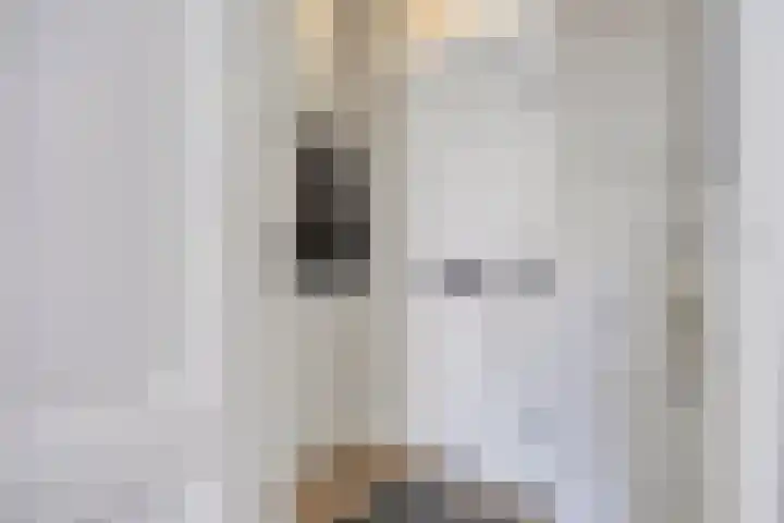 Abraham Kuijperstraat 36 Tilburg thumbnail 4