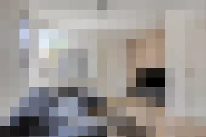 Abraham Kuijperstraat 36 Tilburg thumbnail 7