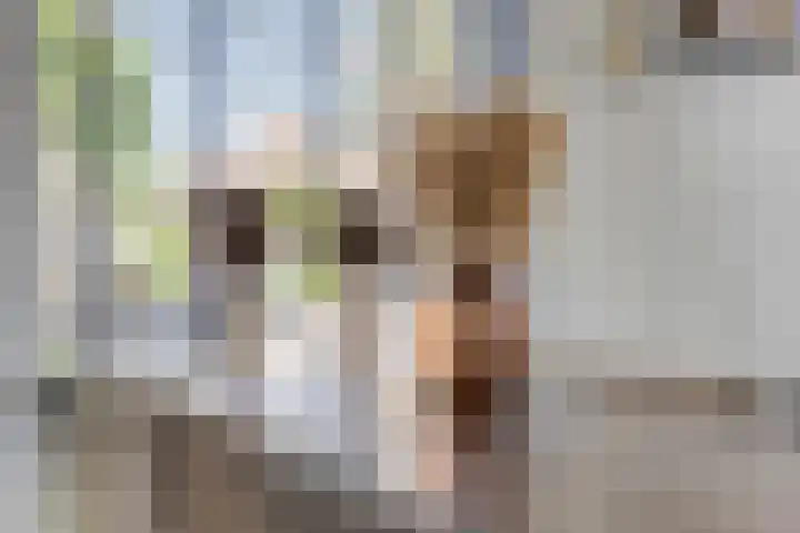 Abraham Kuijperstraat 36 Tilburg thumbnail 8
