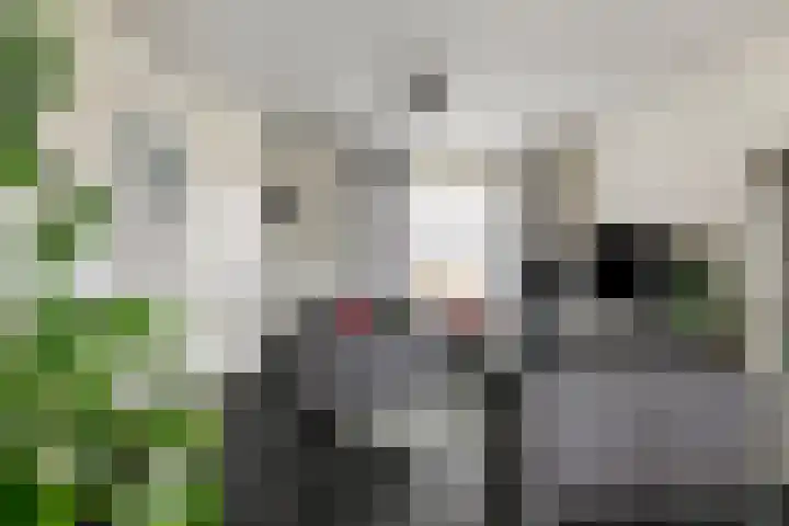 Abraham Kuijperstraat 43 Tilburg thumbnail 10